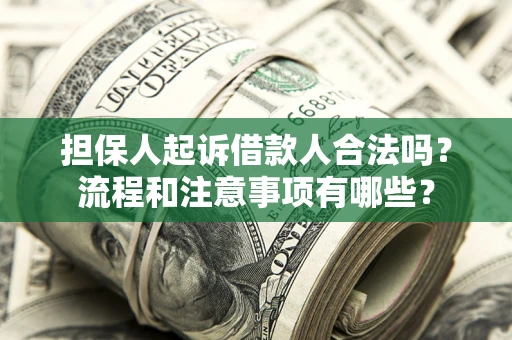 武汉担保人起诉借款人合法吗？流程和注意事项有哪些？