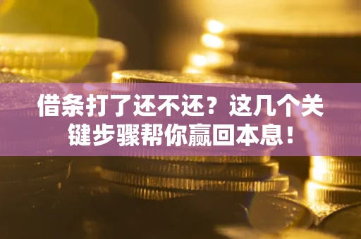 武汉借条打了还不还？这几个关键步骤帮你赢回本息！