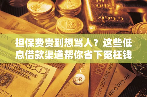 武汉担保费贵到想骂人？这些低息借款渠道帮你省下冤枉钱