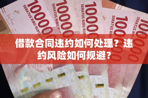 武汉借款合同违约如何处理？违约风险如何规避？