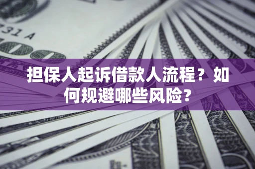 武汉担保人起诉借款人流程？如何规避哪些风险？