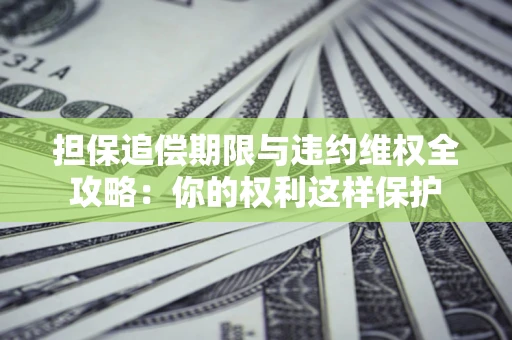 武汉担保追偿期限与违约维权全攻略：你的权利这样保护