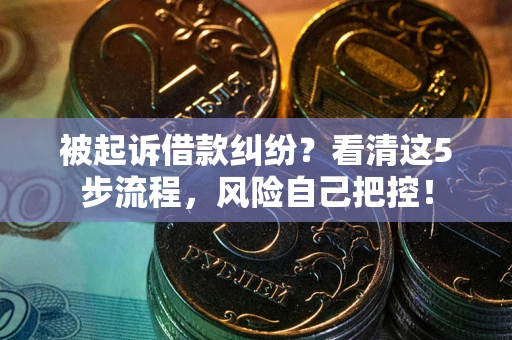 武汉被起诉借款纠纷？看清这5步流程，风险自己把控！