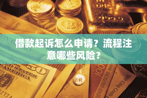 武汉借款起诉怎么申请？流程注意哪些风险？
