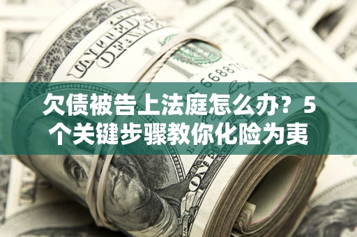 武汉欠债被告上法庭怎么办？5个关键步骤教你化险为夷